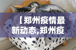 【郑州疫情最新动态,郑州疫情经历多长时间】