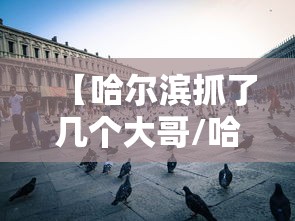 【哈尔滨抓了几个大哥/哈尔滨张大成现在抓没抓起来呢还是在监狱呢吗】