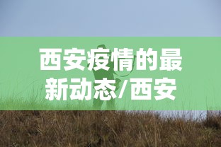 西安疫情的最新动态/西安疫情最新情况