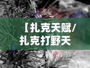 【扎克天赋/扎克打野天赋】