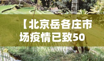 【北京岳各庄市场疫情已致50人感染/北京岳各庄公共卫生间最新进展】 【北京岳各庄市场疫情已致50人感染/北京岳各庄公共卫生间最新进展】