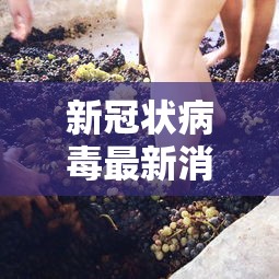 新冠状病毒最新消息:新冠最新消息确诊