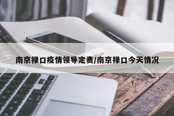 南京禄口疫情领导定责/南京禄口今天情况