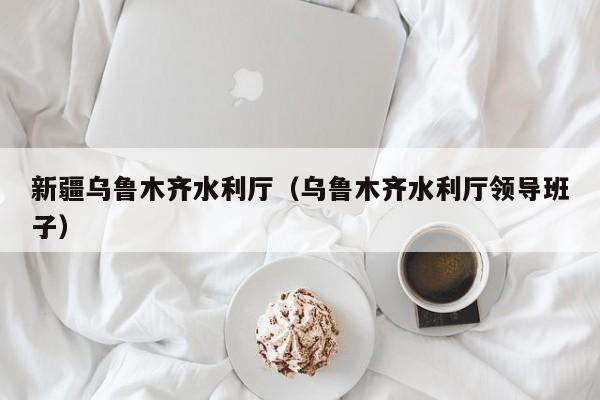 新疆乌鲁木齐水利厅(乌鲁木齐水利厅领导班子)