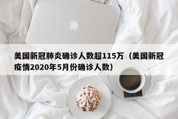 美国新冠肺炎确诊人数超115万(美国新冠疫情2020年5月份确诊人数)
