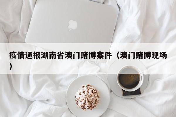 疫情通报湖南省澳门赌博案件(澳门赌博现场)