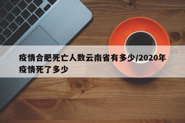 疫情合肥死亡人数云南省有多少/2020年疫情死了多少